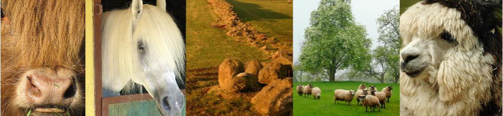 Re-mineralizing pasture land helps the grazers as well as the soil